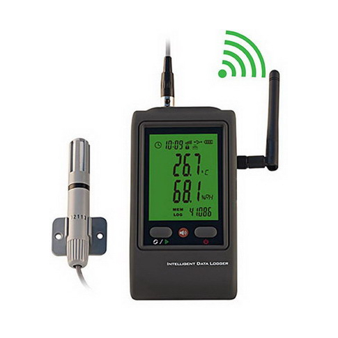 Hairuis R90EX-W Регистратор влажности и температуры с WiFi